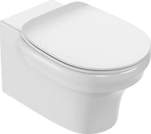 Унитаз подвесной, безободковый, белый Jacob Delafon Cleo EDZ102-0