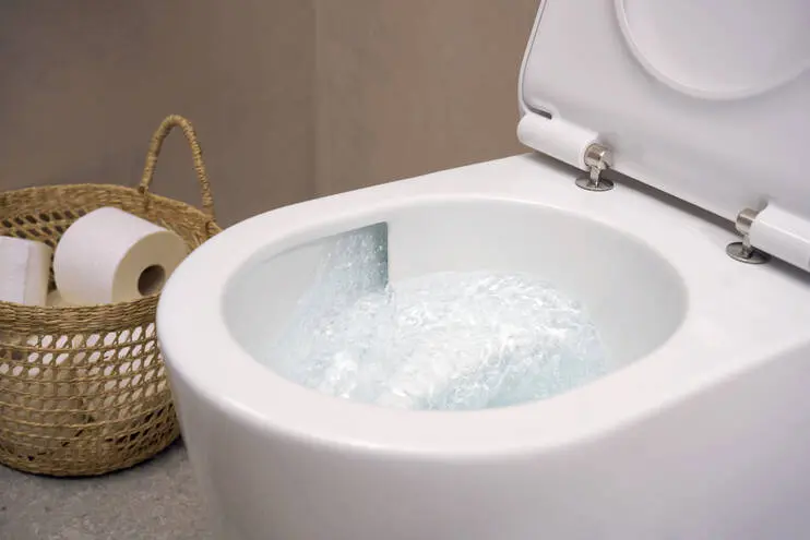 Унитаз подвесной со смывом торнадо и крышкой-сиденьем SoftClose, белый Hansgrohe EluPura S 60344450