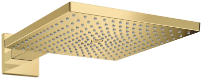 Верхний душ с кронштейном 300, золото Hansgrohe Raindance E 26238990 Верхний душ с кронштейном 300, золото Hansgrohe Raindance E 26238990