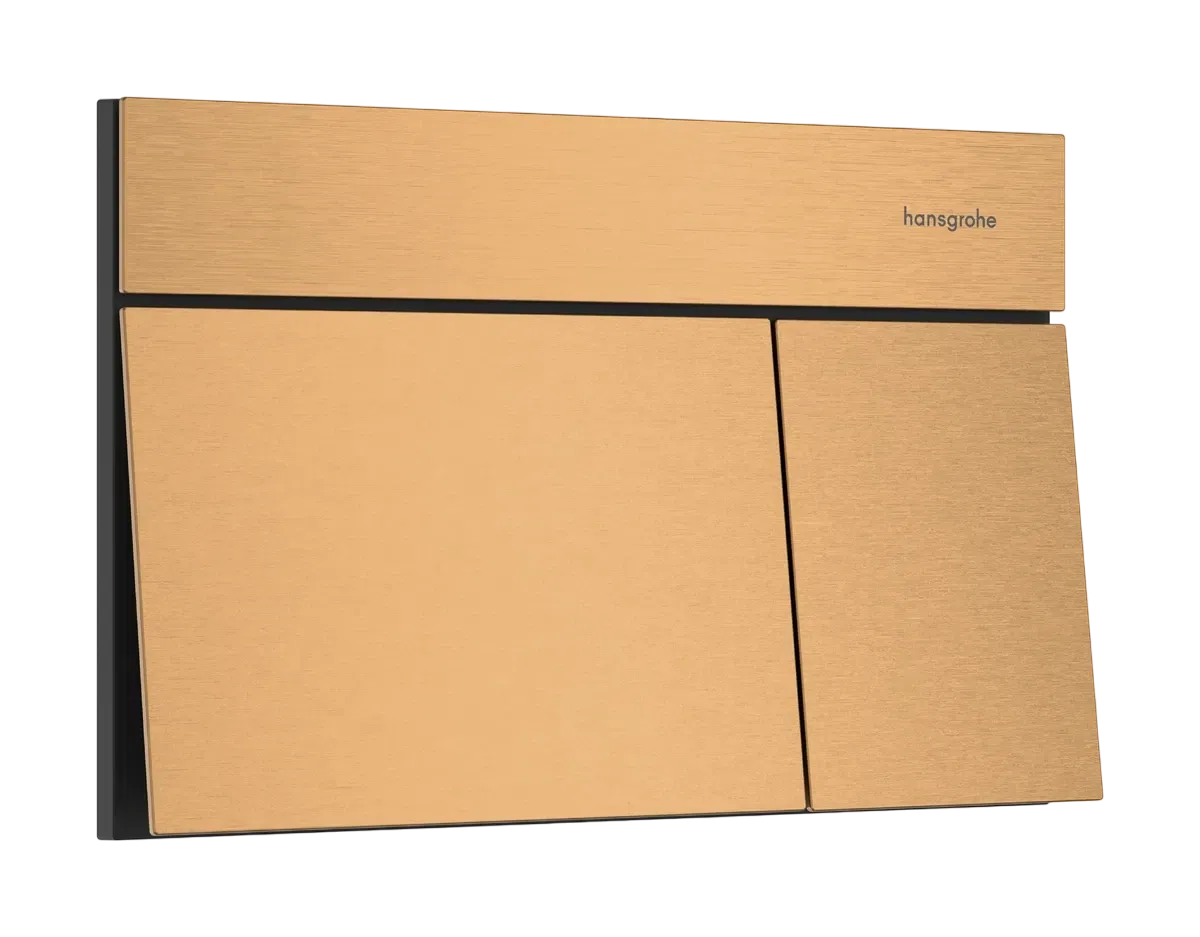 Панель смыва, бронза Hansgrohe iFrame Element E 66003140