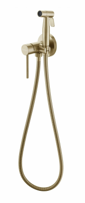 Гигиенический душ со смесителем, встраиваемый, золото VODA Vessel VSL01G