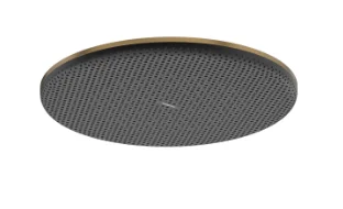 Верхний душ 300, бронза Hansgrohe Raindance Alive S 300 1jet 24523140