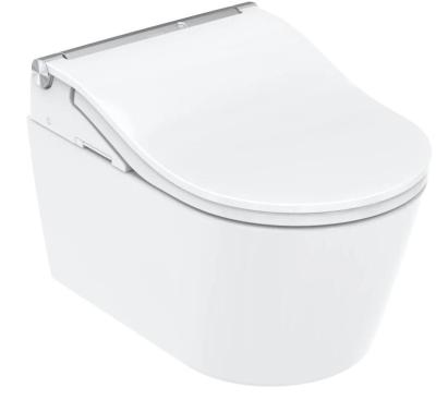 Унитаз-биде TOTO RP WASHLET (CW542ERY+TCF801CG+SP10695UN) K24031101