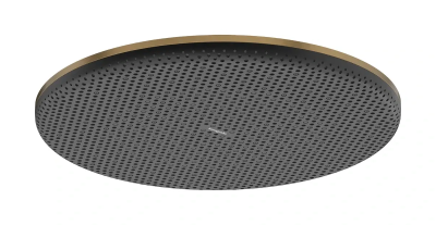 Верхний душ 300, бронза Hansgrohe Raindance Alive S 300 1jet 24520140