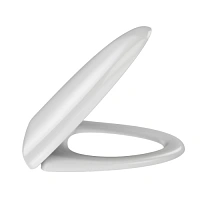 Крышка-сиденье для унитаза с микролифтом Jacob Delafon Nouvelle Vague E20068-00