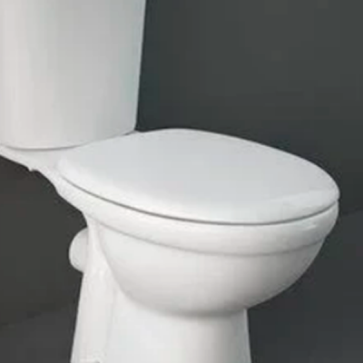 Крышка-сиденье для унитаза Rak Ceramics Karla KR05DXSCAWHA Крышка-сиденье для унитаза Rak Ceramics Karla KR05DXSCAWHA